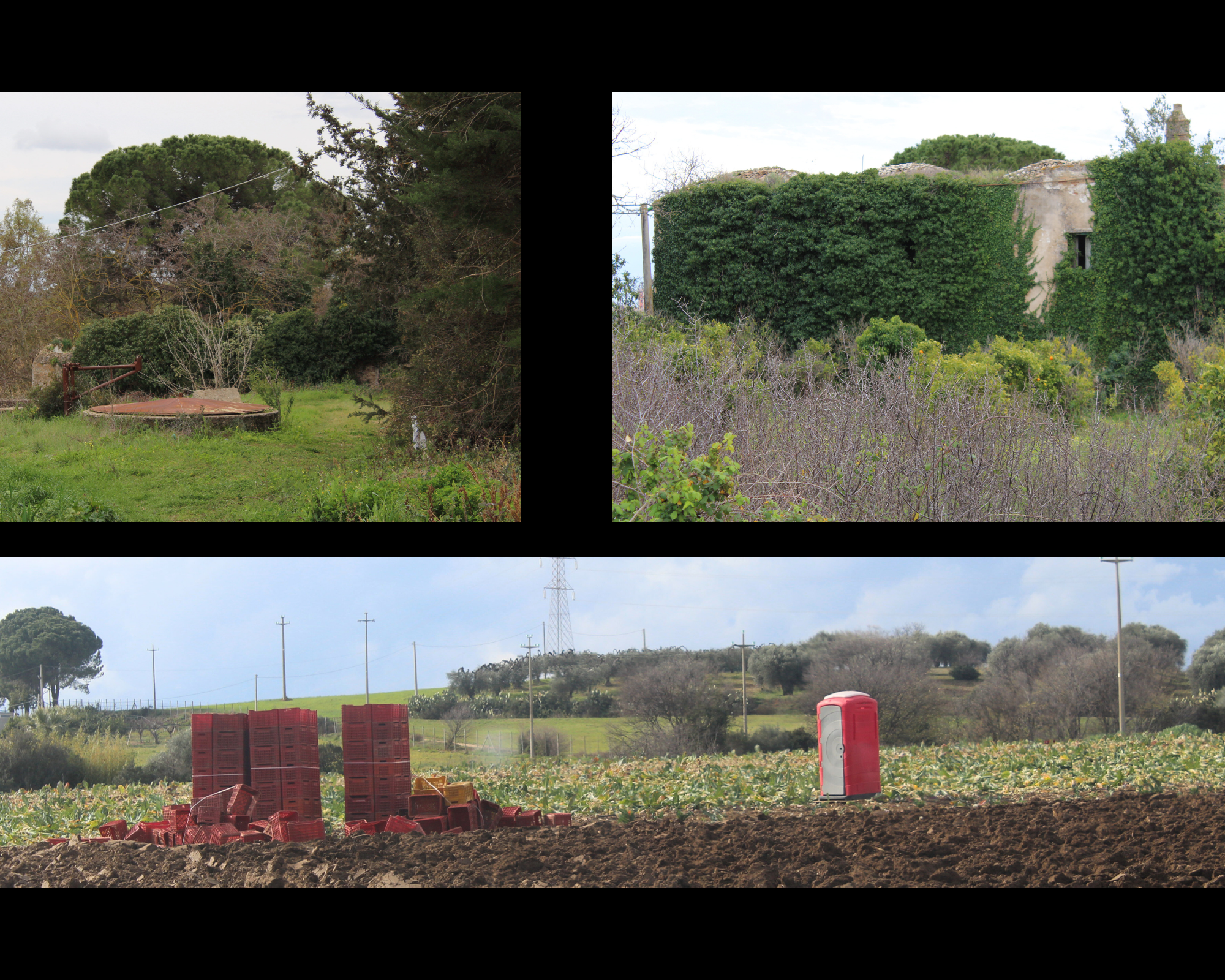 Il tetto di una cisterna spunta dall'erba; una villa abbandonata ricoperta d'edera; un terreno con cassette rosse per la raccolta e cabina wc chimico rossa