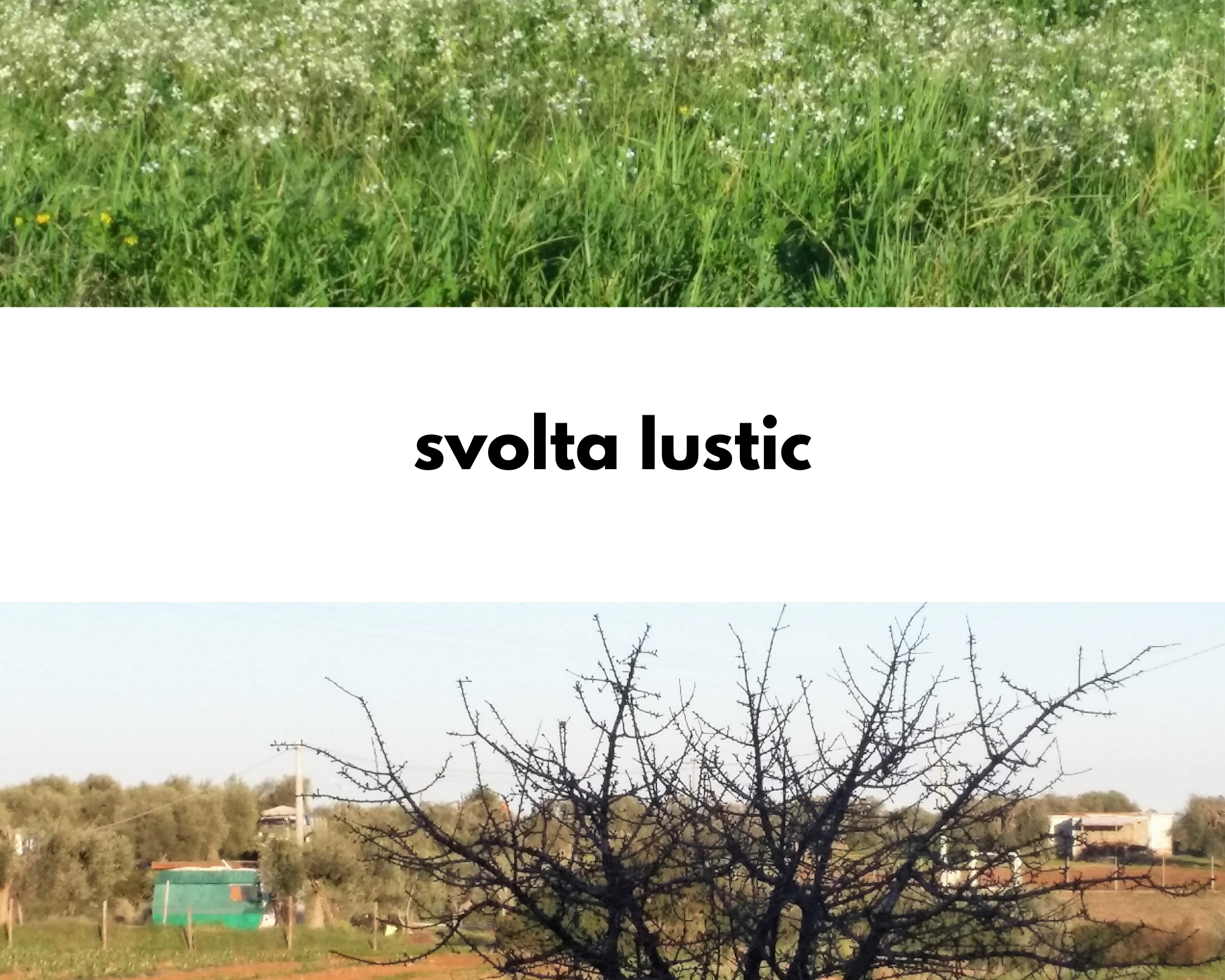 Svolta Iustic: un prato con fiorellini bianchi; i rami spogli di un albero e sullo sfondo un terreno con una roulotte verde