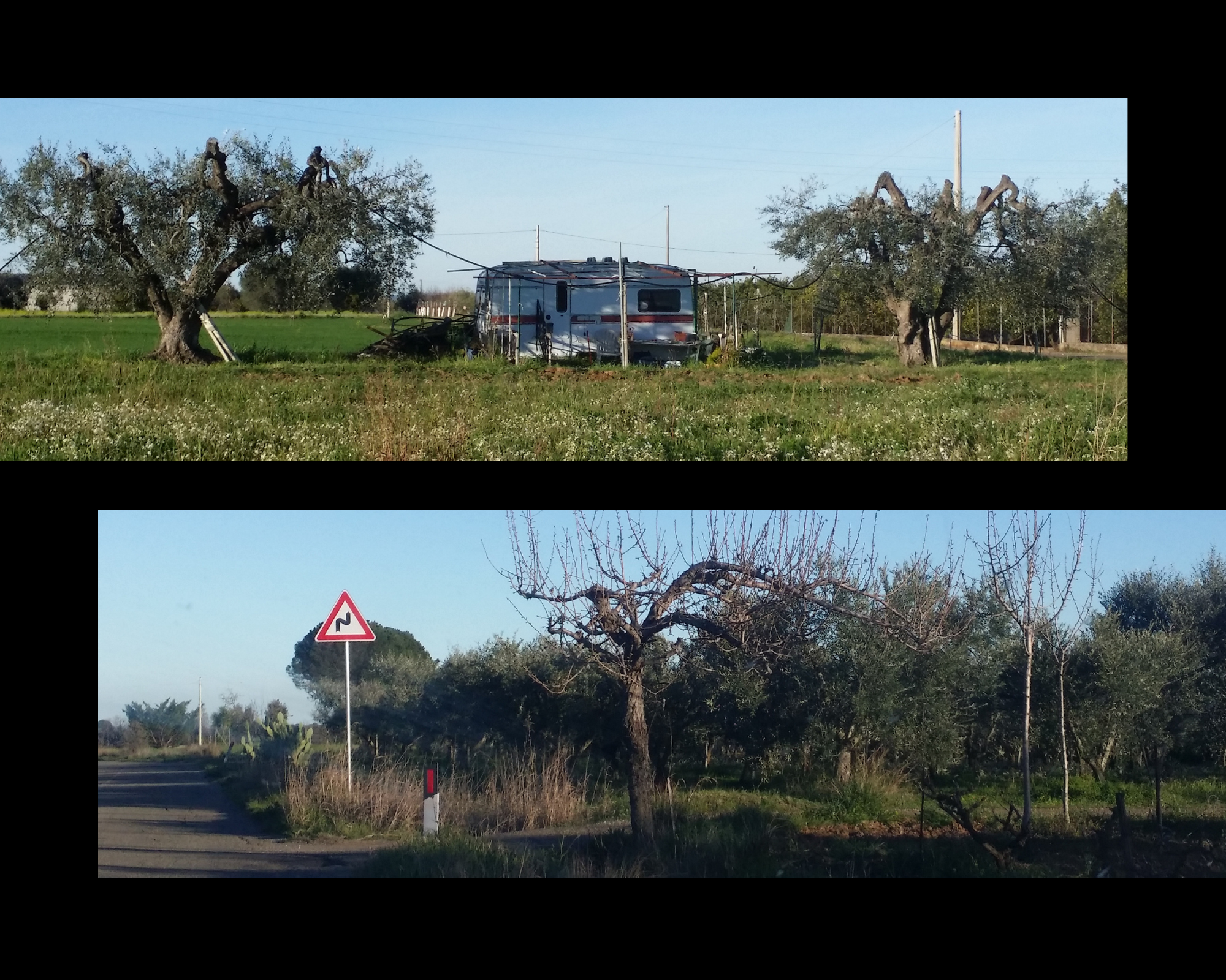 Una roulotte bianca abitata - s'intravedono tavolino e sedie all'esterno - tra alberi di ulivo; strada con segnale di pericolo tornante