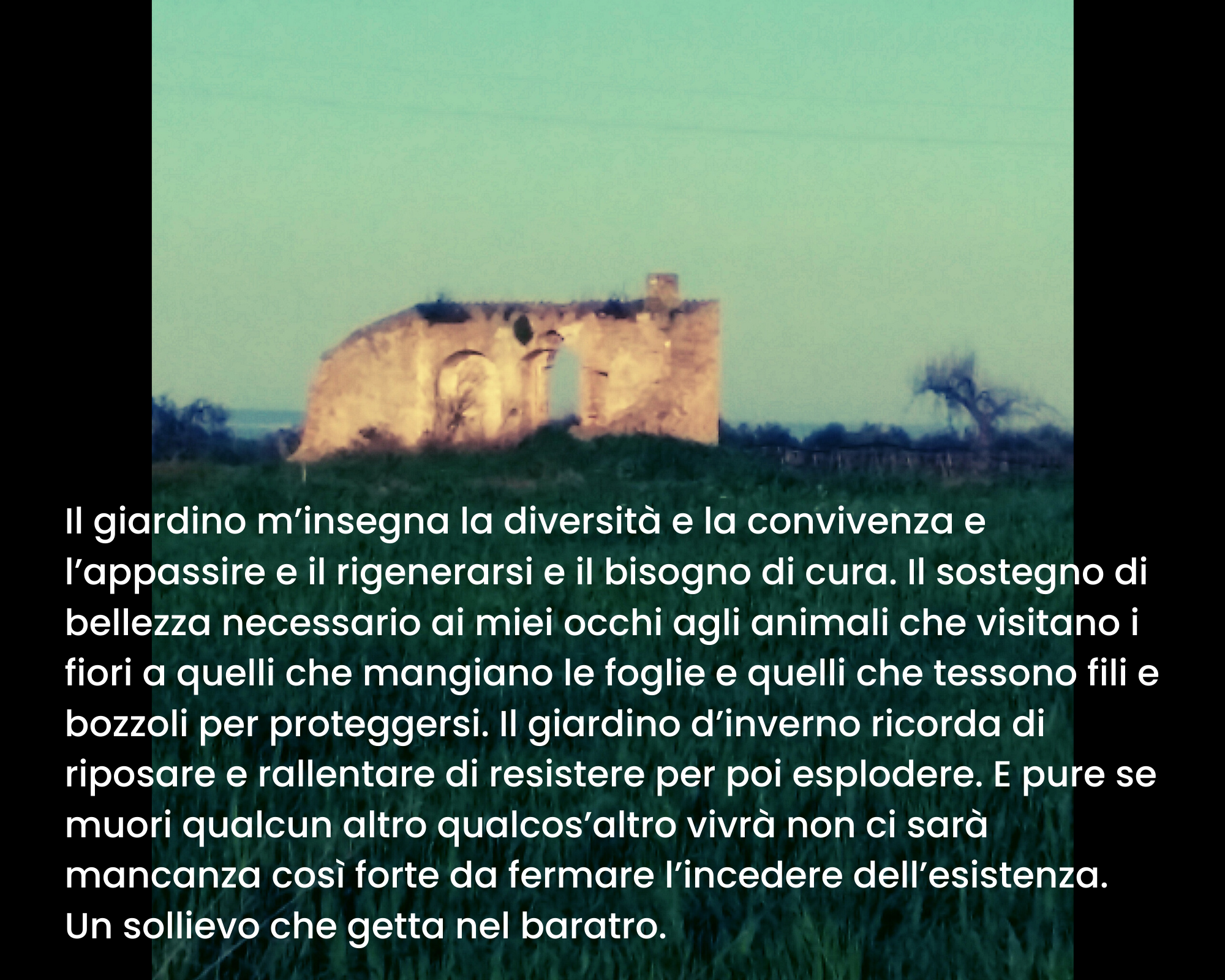 Rovina con archi sullo sfondo Il giardino m’insegna la diversità e la convivenza e l’appassire e il rigenerarsi e il bisogno di cura. Il sostegno di bellezza necessario ai miei occhi agli animali che visitano i fiori a quelli che mangiano le foglie e quelli che tessono fili e bozzoli per proteggersi. Il giardino d’inverno ricorda di riposare e rallentare di resistere per poi esplodere. E pure se muori qualcun altro qualcos’altro vivrà non ci sarà mancanza così forte da fermare l’incedere dell’esistenza. Un sollievo che getta nel baratro.