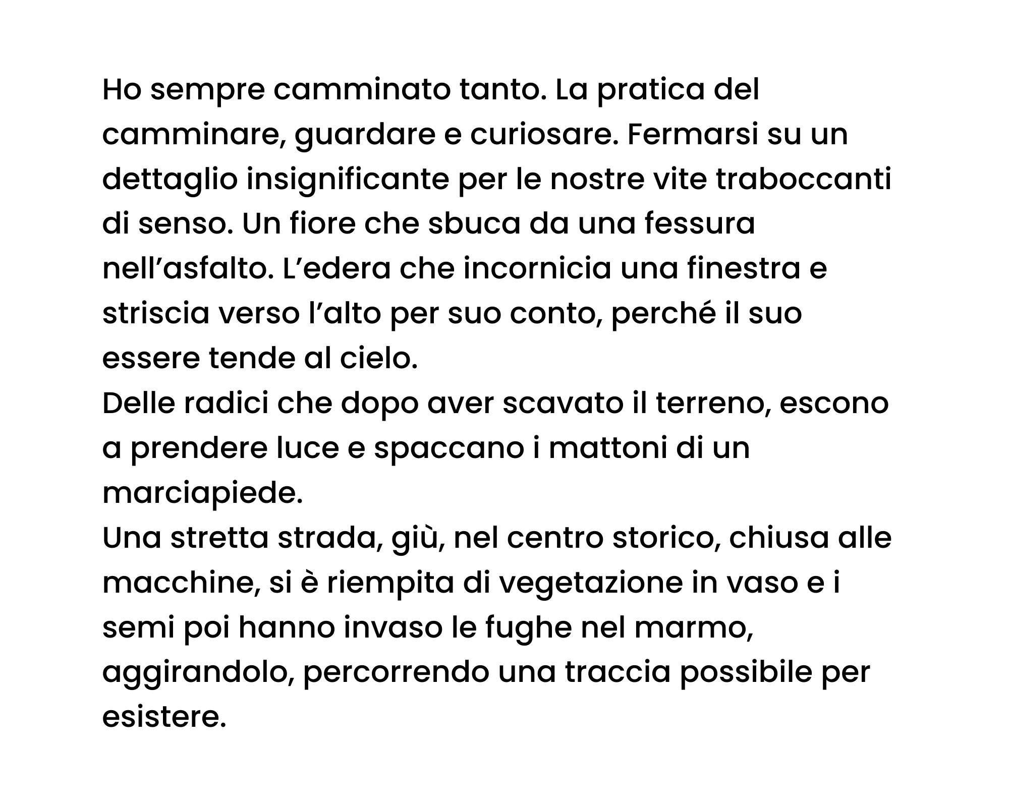 Ho sempre camminato tanto. La pratica del camminare, guardare e curiosare. Fermarsi su un dettaglio insignificante per le nostre vite traboccanti di senso. Un fiore che sbuca da una fessura nell’asfalto. L’edera che incornicia una finestra e striscia verso l’alto per suo conto, perché il suo essere tende al cielo. Delle radici che dopo aver scavato il terreno, escono a prendere luce e spaccano i mattoni di un marciapiede. Una stretta strada, giù, nel centro storico, chiusa alle macchine, si è riempita di vegetazione in vaso e i semi poi hanno invaso le fughe nel marmo, aggirandolo, percorrendo una traccia possibile per esistere.