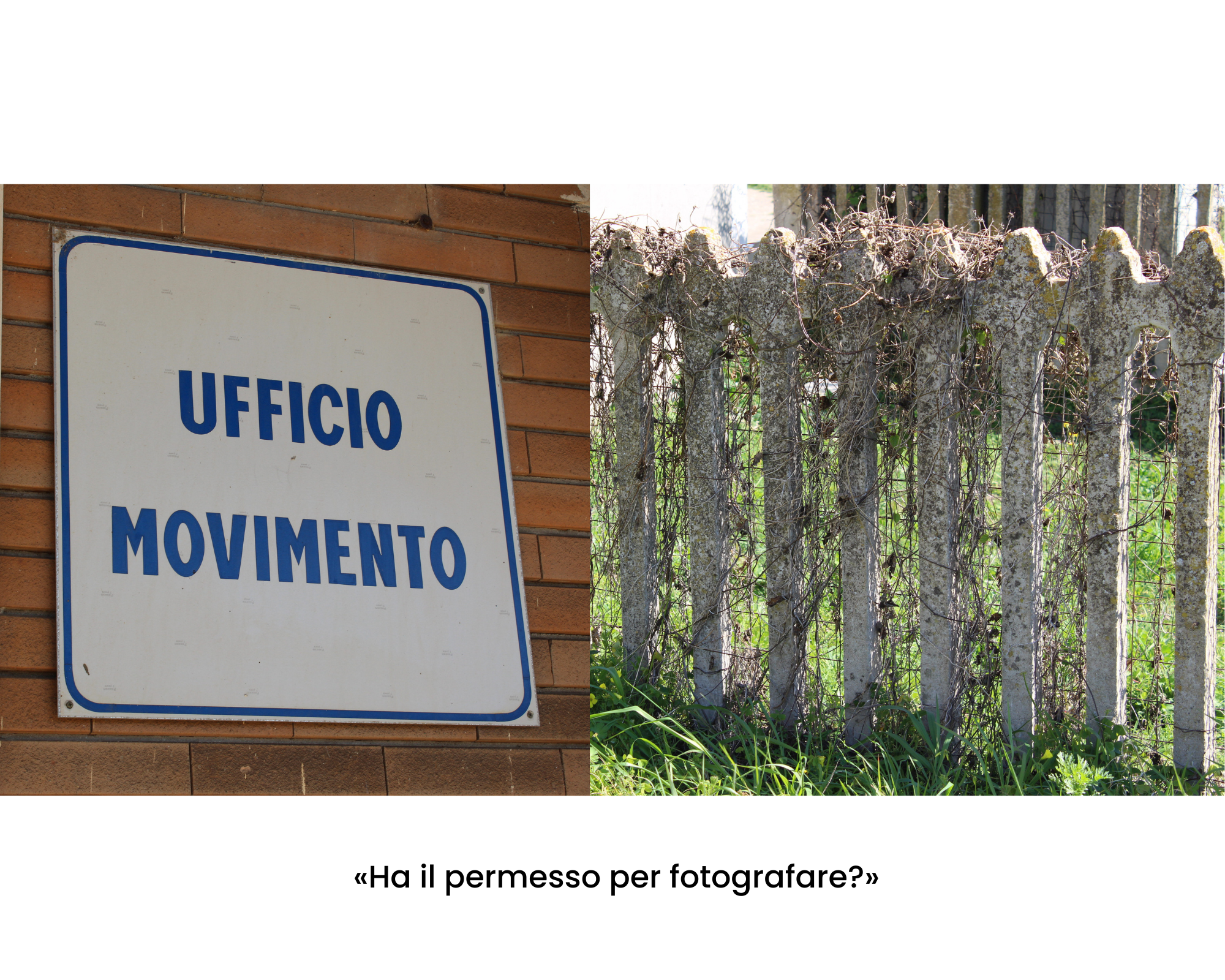 Mi chiedono: Ha il permesso di fotografare? Cartello "Ufficio movimento"; recinzione in cemento, più rete di ferro e rami secchi attorcigliati