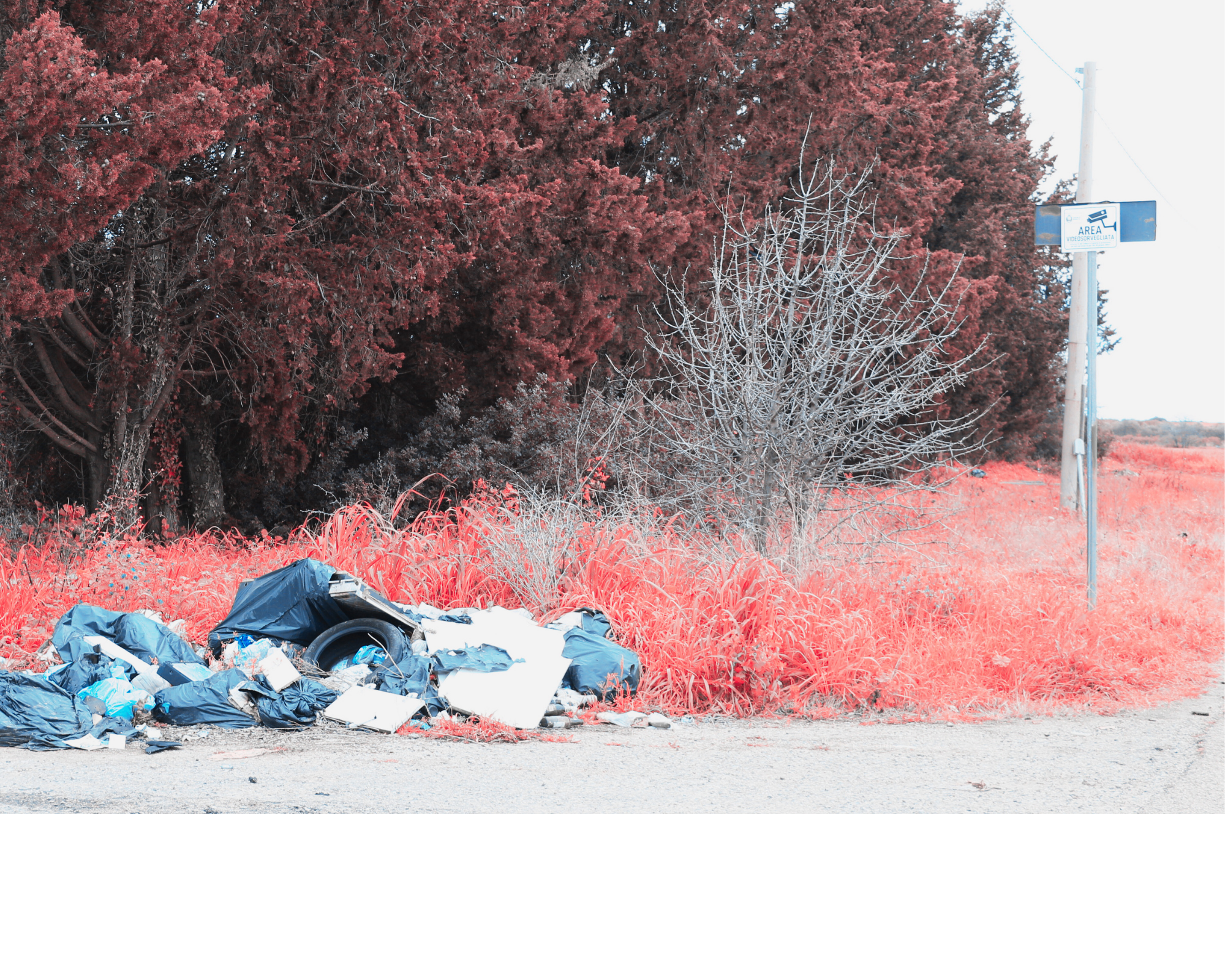 Immondizia per la strada, nonostante il cartello "Area videosorvegliata"