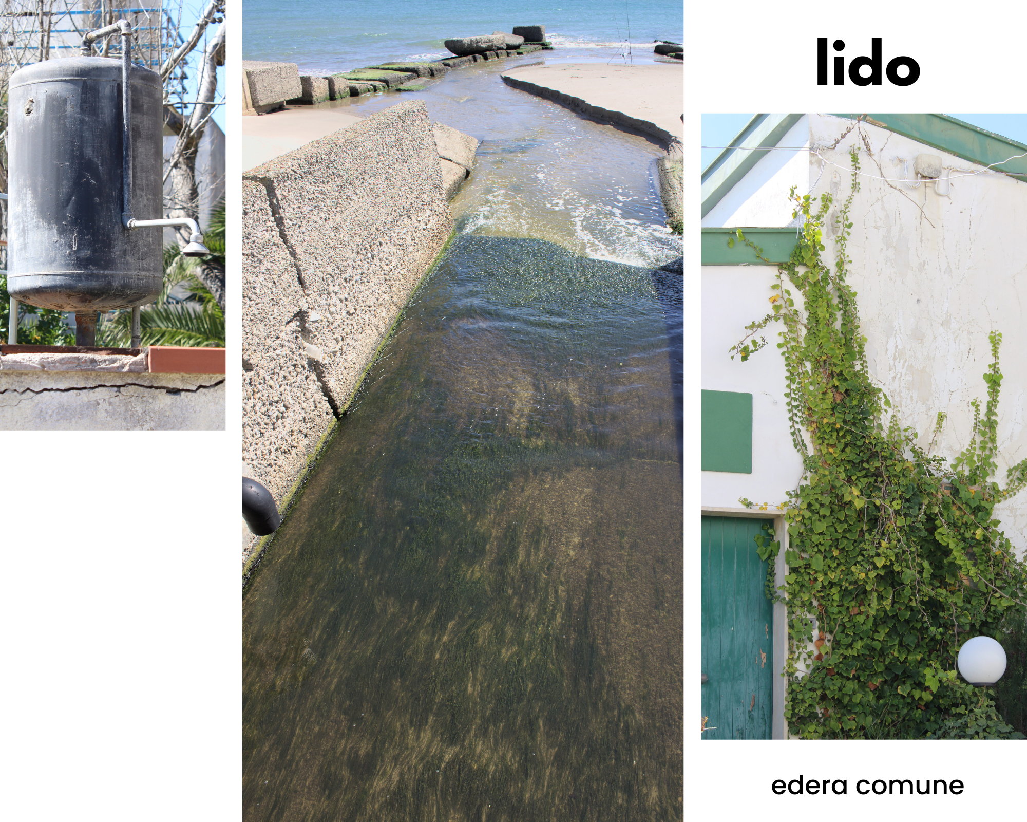 Lido: boiler con doccetta in cortile esterno; canale che sfocia nel mare; edera comune abbarbicata sul muro di una villetta bianca e verde