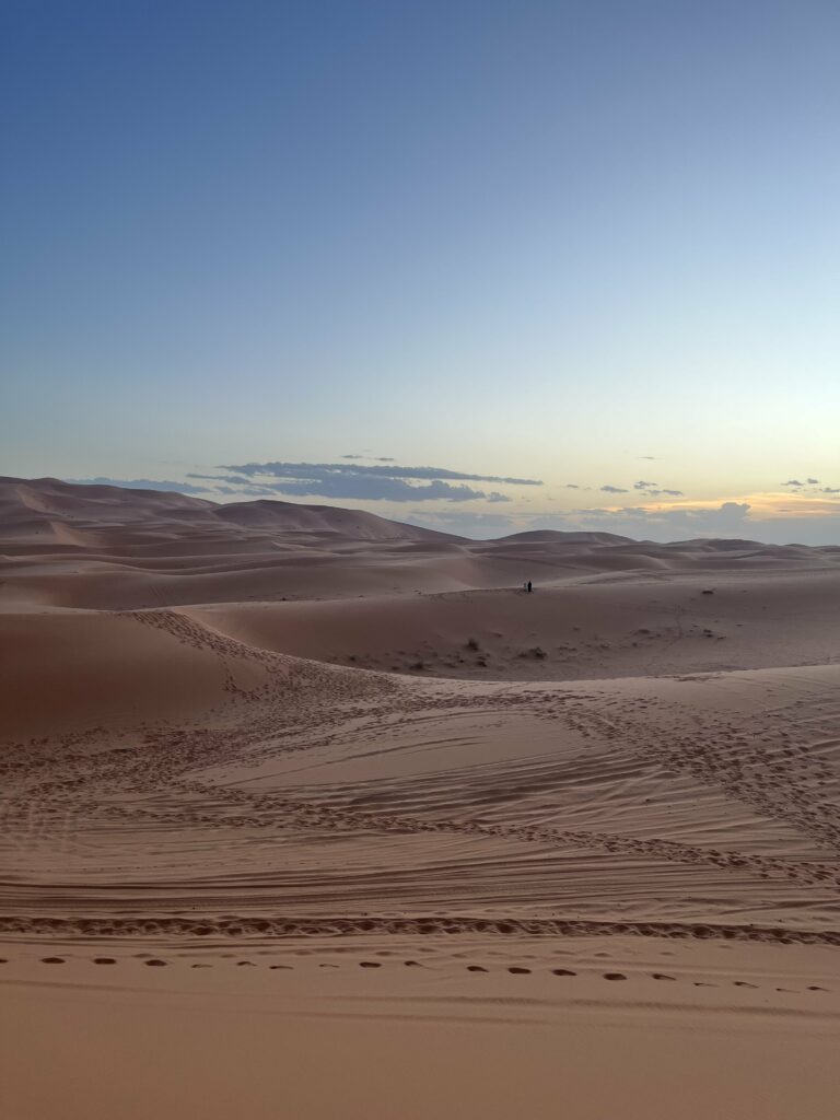 testo e immagini di Nicole Trevisan; a cura di Silvia Penso e mariel.